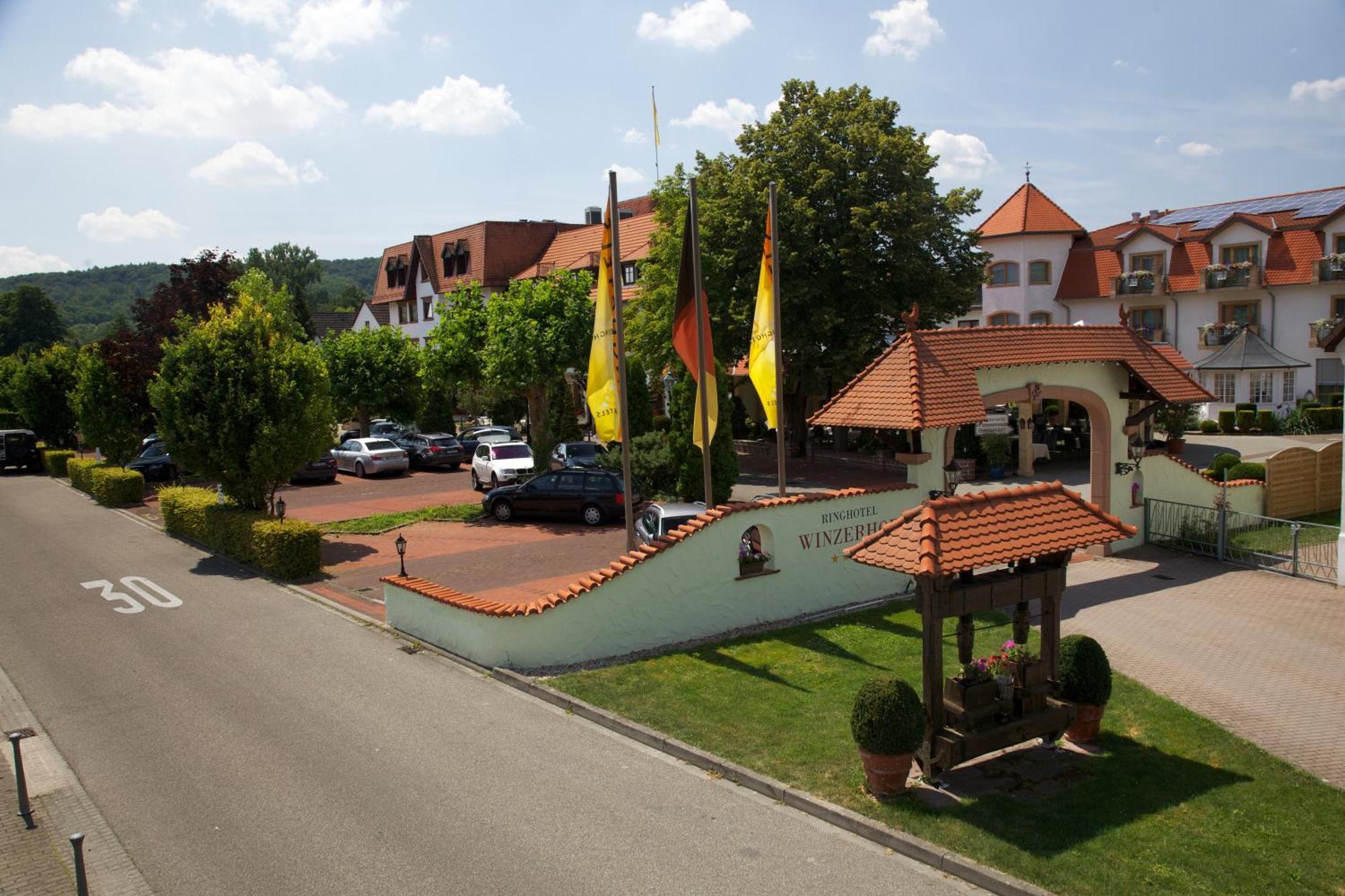 Ringhotel Winzerhof 로엔베르그 외부 사진
